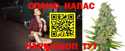 прущий лед Будённовск