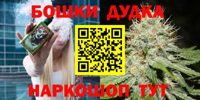 прущий лед Будённовск