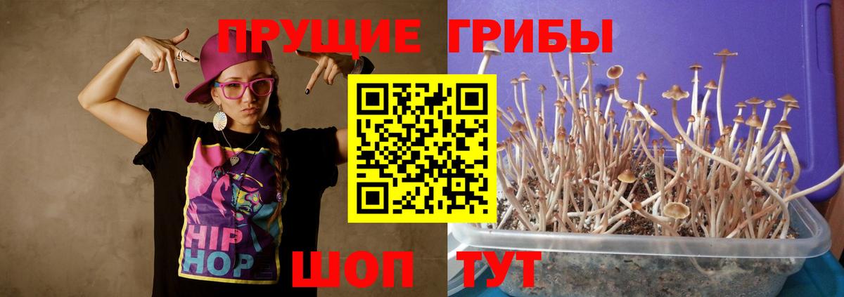 Дятьково  Галлюциногенные грибы ЛСД  Вход с VPN 